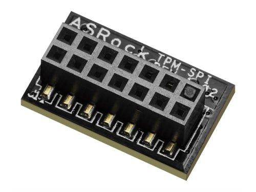 ASRock Accessory ASR TPM-SPI Family
